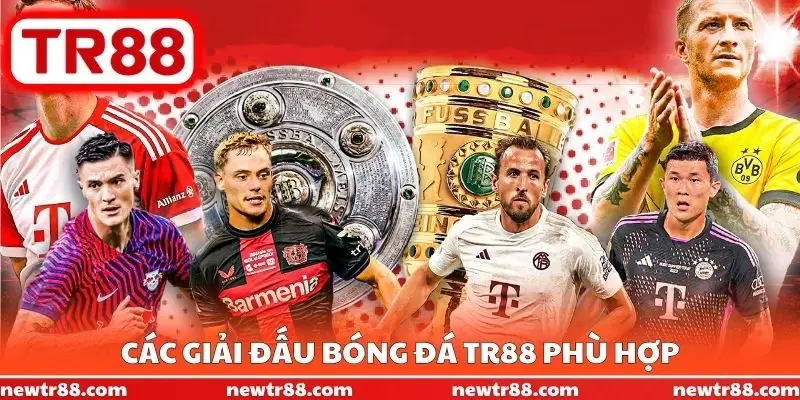 Các giải đấu bóng đá TR88 phù hợp